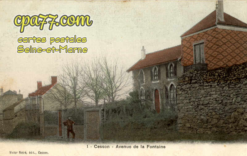 Cesson (Seine-et-Marne) - Avenue de la Fontaine