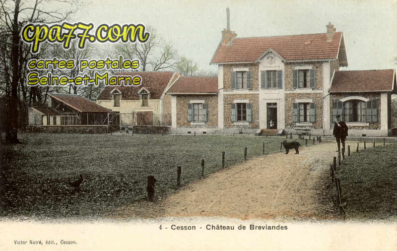 Cesson (Seine-et-Marne) - Château de Breviandes