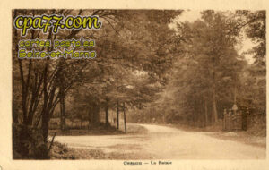 Cesson (Seine-et-Marne) - La Futaie