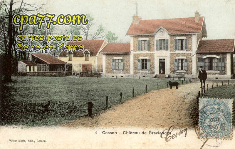 Cesson (Seine-et-Marne) - Château de Breviandes