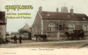 Cesson (Seine-et-Marne) - Avenue Magunglas