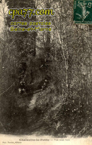 Chalautre La Petite (Seine-et-Marne) - Vue sous bois