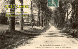 Chalautre La Reposte (Seine-et-Marne) - L&rsquo;Allée de Gurcy-le-Châtel