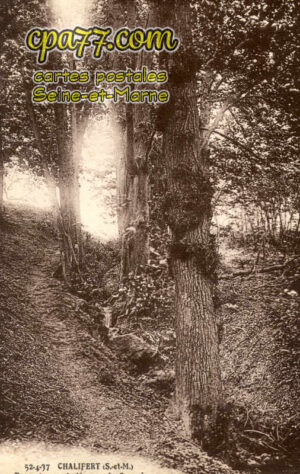 Chalifert (Seine-et-Marne) - Descente vers la Marne – La Cascade