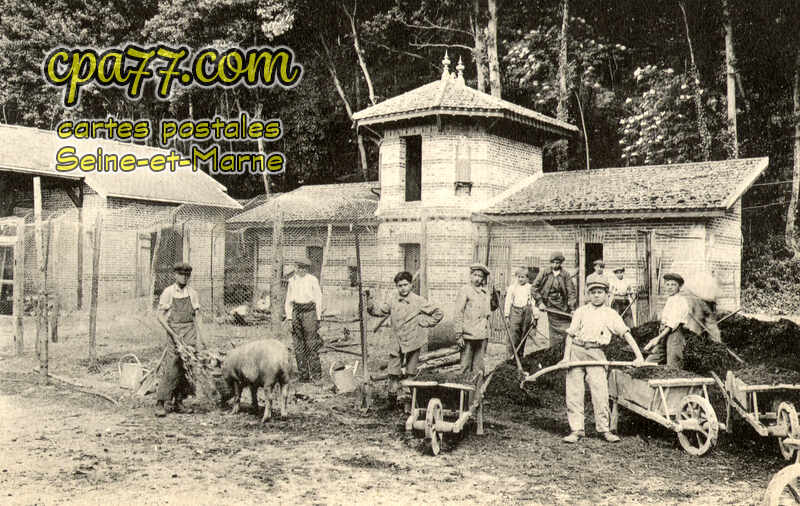 Champagne Sur Seine (Seine-et-Marne) - Œuvre des Pupilles de l&rsquo;Ecole Publique de Seine et Marne – Les Pressoirs-du-Roi – La basse-cour