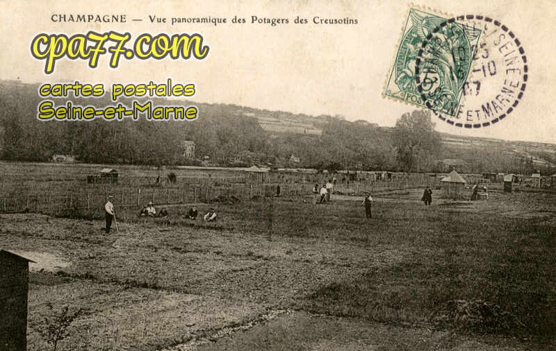 Champagne Sur Seine (Seine-et-Marne) - Vue panoramique des Potagers des Creusotins
