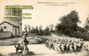 Champeaux (Seine-et-Marne) - Le Réservoir d&rsquo;eau et les moutons au pâturage