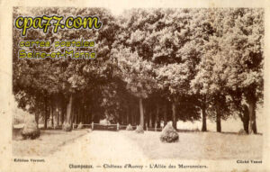 Champeaux (Seine-et-Marne) - Château d&rsquo;Aunoy – L&rsquo;Allée des Marronniers