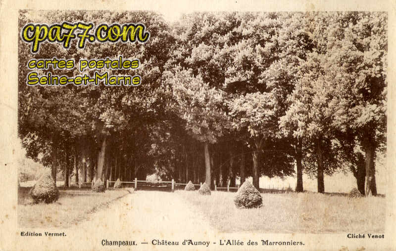Champeaux (Seine-et-Marne) - Château d&rsquo;Aunoy – L&rsquo;Allée des Marronniers