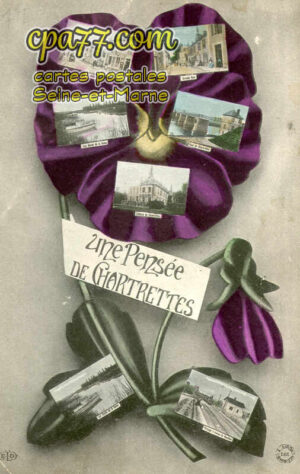 Chartrettes (Seine-et-Marne) - Une Pensée de Chartrettes