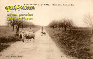 Châteaubleau (Seine-et-Marne) - Route de La-Croix-en-Brie