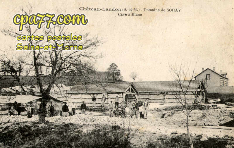 Château Landon (Seine-et-Marne) - Domaine de Soray – Cave à Blanc