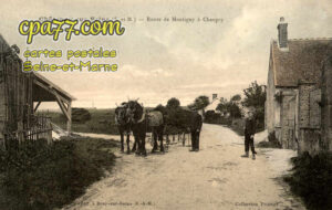 Châtenay Sur Seine (Seine-et-Marne) - Route de Montigny à Chaupry