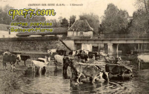 Châtenay Sur Seine (Seine-et-Marne) - L&rsquo;Abreuvoir