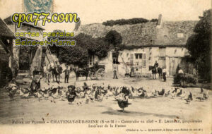 Châtenay Sur Seine (Seine-et-Marne) - Ferme du Plessis – Construite en 1608 – Intérieur de la Ferme