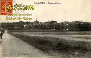 Chaumes En Brie (Seine-et-Marne) - Vue générale