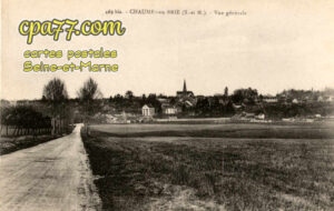 Chaumes En Brie (Seine-et-Marne) - Vue générale
