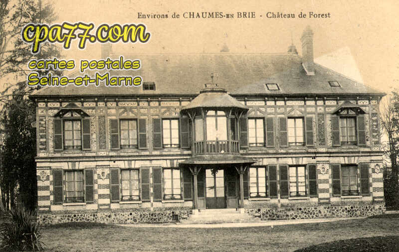 Chaumes En Brie (Seine-et-Marne) - Environs de Chaumes-en-Brie – Château de Forest