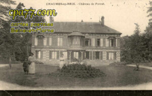 Chaumes En Brie (Seine-et-Marne) - Château de Forest