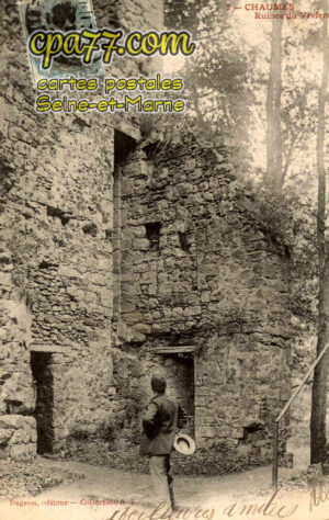 Chaumes En Brie (Seine-et-Marne) - Ruines du Viviers