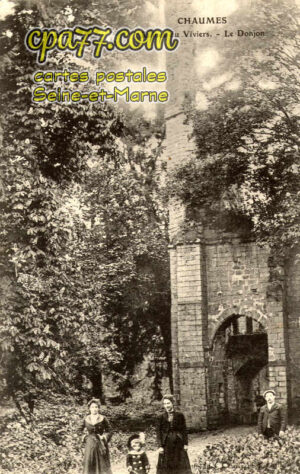 Chaumes En Brie (Seine-et-Marne) - Ruines du Viviers – Le Donjon