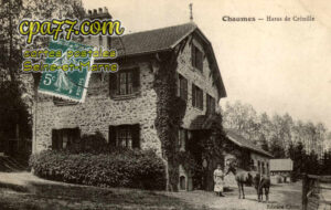 Chaumes En Brie (Seine-et-Marne) - Haras de Crénille