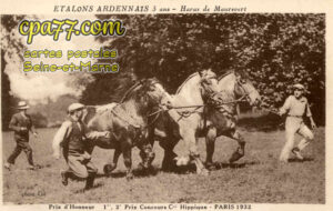 Chaumes En Brie (Seine-et-Marne) - Etalons Ardennais – Haras de Maurevert