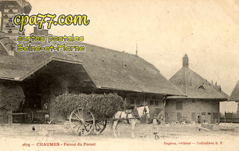 Chaumes En Brie (Seine-et-Marne) - Ferme du Forest
