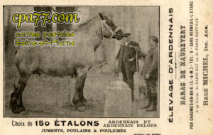 Chaumes En Brie (Seine-et-Marne) - Carte Publicité « Elevage d&rsquo;Ardennais » – Haras de Maurevert