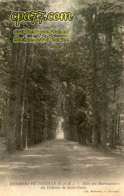 Chaumes En Brie (Seine-et-Marne) - Environs de Tournan (S.-et-M.) – Allée des Marronniers du Château de Saint-Ouen