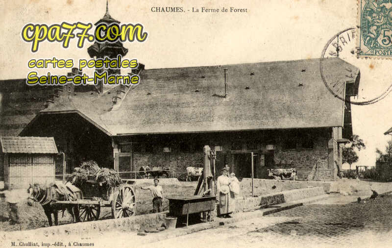Chaumes En Brie (Seine-et-Marne) - La Ferme de Forest
