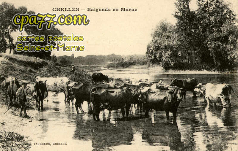 Chelles (Seine-et-Marne) - Baignade en Marne