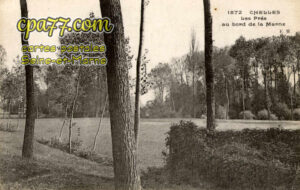 Chelles (Seine-et-Marne) - Les prés au bord de la Marne