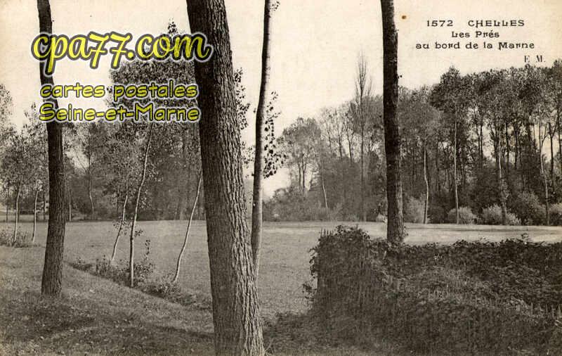 Chelles (Seine-et-Marne) - Les prés au bord de la Marne