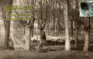 Chelles (Seine-et-Marne) - La Promenade du Poncelet