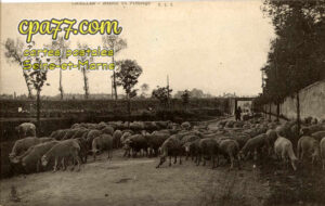 Chelles (Seine-et-Marne) - Retour de Pâturage