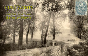 Chelles (Seine-et-Marne) - Les prés de Chelles