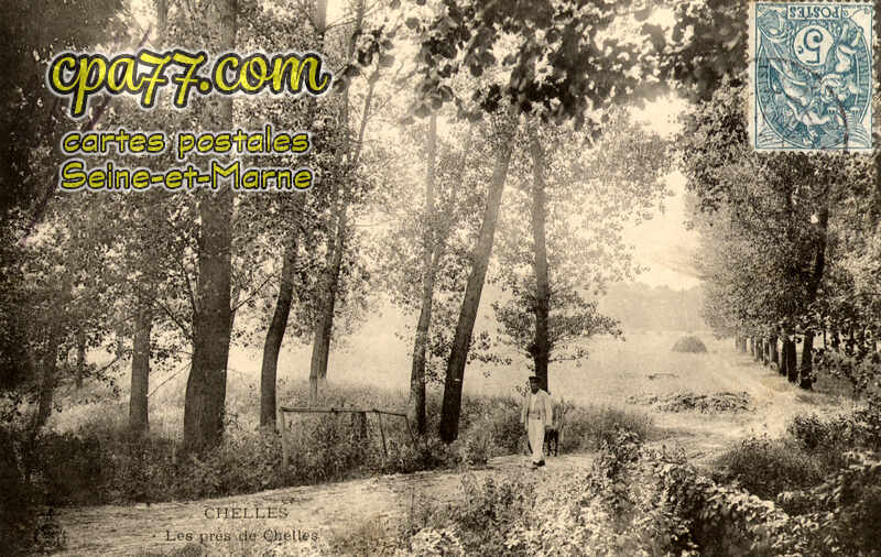 Chelles (Seine-et-Marne) - Les prés de Chelles