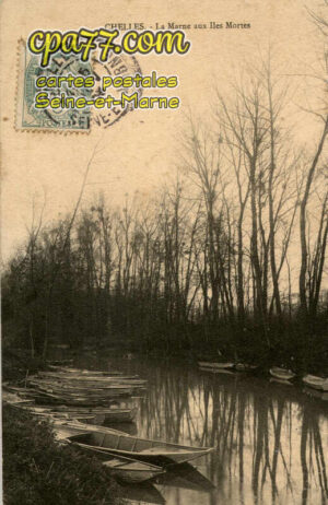Chelles (Seine-et-Marne) - La Marne aux Iles Mortes