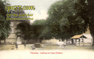 Chenoise (Seine-et-Marne) - Intérieur du Vieux Château