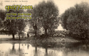 Chessy (Seine-et-Marne) - La Marnière