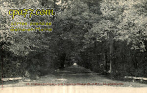 Chevry En Sereine (Seine-et-Marne) - Château de Chevry, près Lorrez-le-Bocage (S.-et-M.) – La grande allée