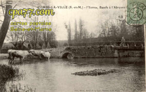 Combs La Ville (Seine-et-Marne) - L&rsquo;Yerres, Bœufs à l&rsquo;abreuvoir