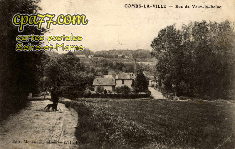 Combs La Ville (Seine-et-Marne) - Rue de Vaux-la-Reine