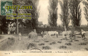 Condé Ste Libiaire (Seine-et-Marne) - Environs de Meaux – La Maison dans la Brie