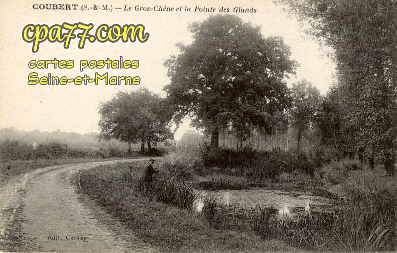 Coubert (Seine-et-Marne) - Le Gros-Chêne et la Pointe des Glands