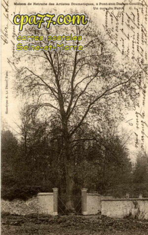 Couilly Pont Aux Dames (Seine-et-Marne) - Maison de Retraite des Artistes Dramatiques – Un coin du Parc