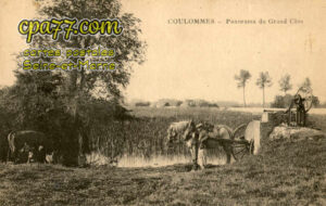 Coulommes (Seine-et-Marne) - Panorama du Grand Clos