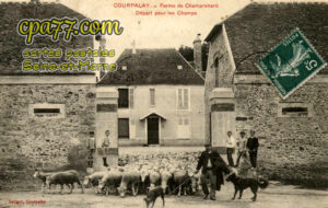 Courpalay (Seine-et-Marne) - Ferme de Champrenard – Départ pour les Champs