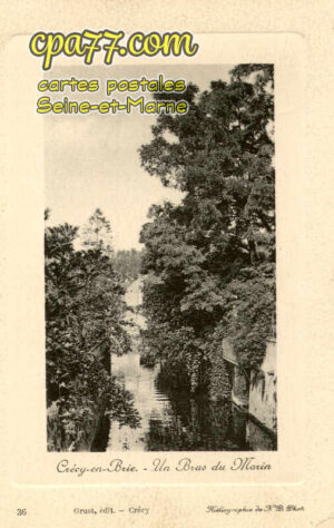 Crécy La Chapelle (Seine-et-Marne) - Un Bras du Morin